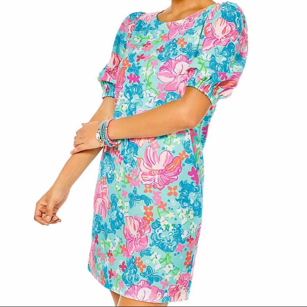 BRAND NEW Lilly Pulitzer Cayce Dress 🌺🌸🦁